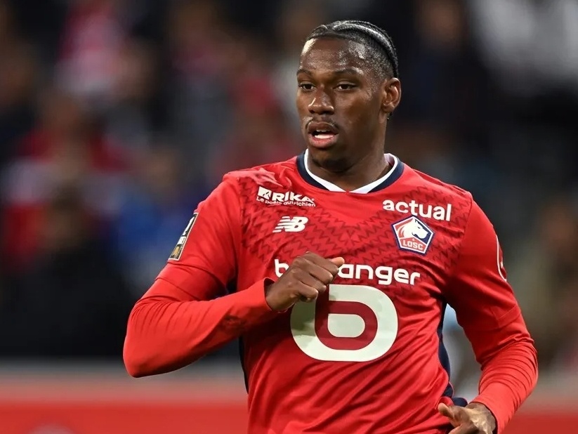 仅塑造了 仅塑造了